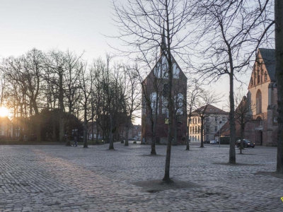 gegenlicht_4