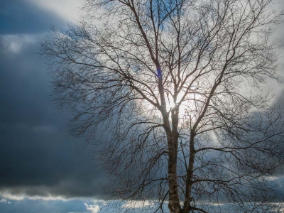 gegenlicht_6
