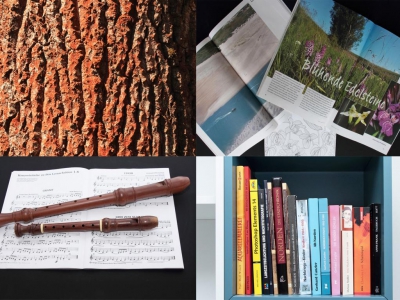 Holz_5