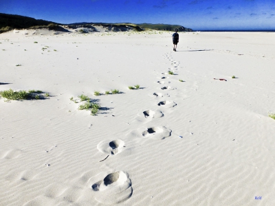 mein Reisebild