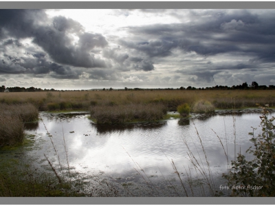 Ostfriesland´s Weite_1