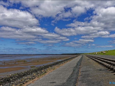 Ostfriesland´s Weite_4
