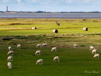 Ostfriesland´s Weite_4