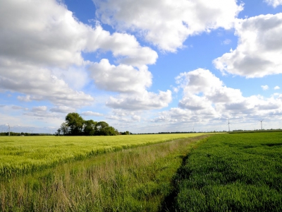 Ostfriesland´s Weite_6