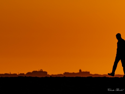 Skyline_4