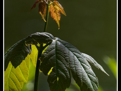 Licht_10