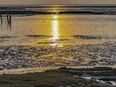Licht_15