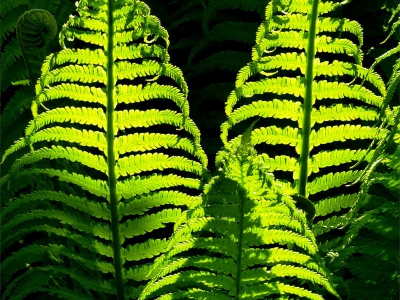 Licht_7