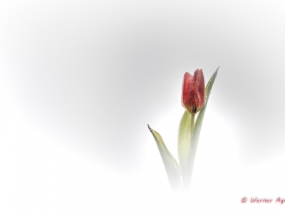 Minimalismus_10