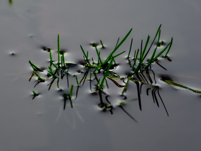 Minimalismus_17