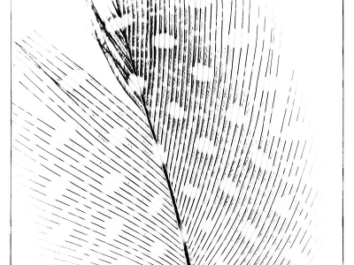 Minimalismus_1