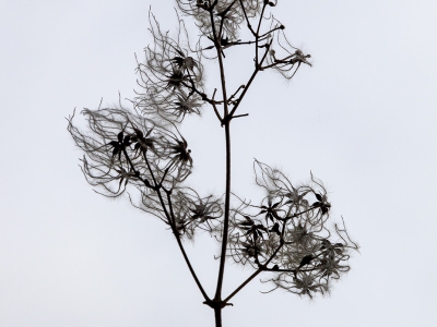 Minimalismus_6