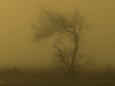 S/W - Monochrom_12