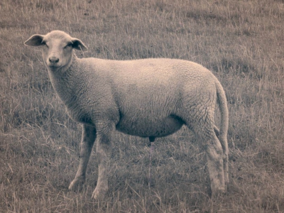 S/W - Monochrom_14