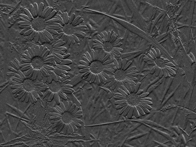 S/W - Monochrom_16