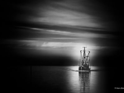 S/W - Monochrom_20