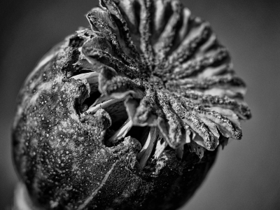 S/W - Monochrom_31