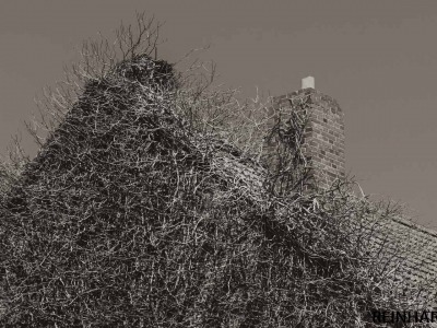 S/W - Monochrom_33