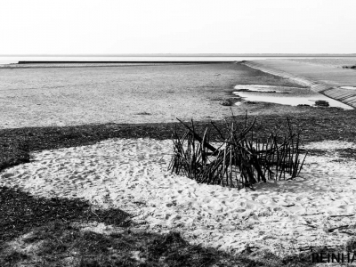 S/W - Monochrom_35