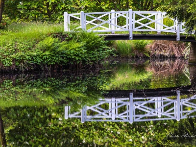 Spiegelung_1