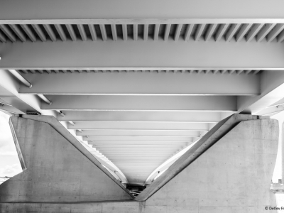 SW oder Monocrom