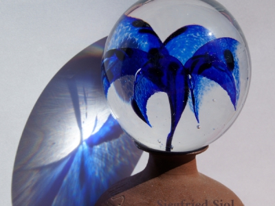 Blau_12