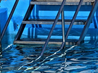 Blau