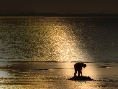 Gegenlicht_3
