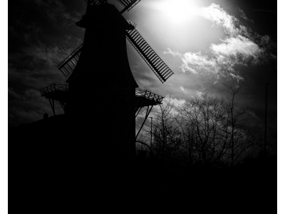 Gegenlicht_7
