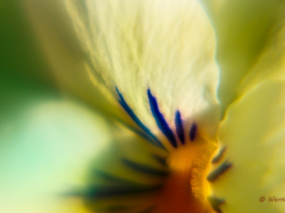 Makro_1