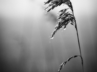 Minimalistisch_3