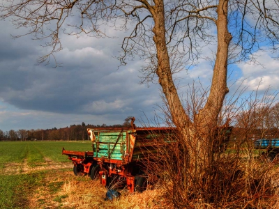 Natur u Technik_1