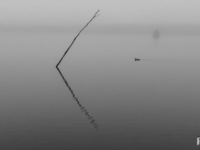 Stille u Ruhe_12