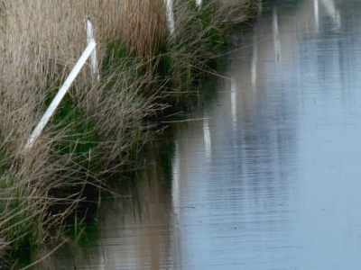 Stille u. Ruhe