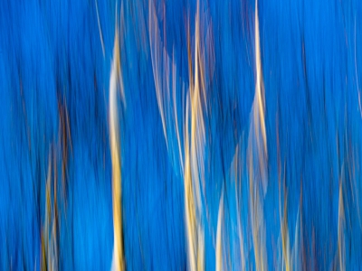 Digitales Gemälde_2