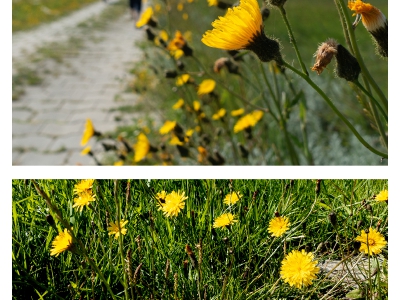 Diptychon_1