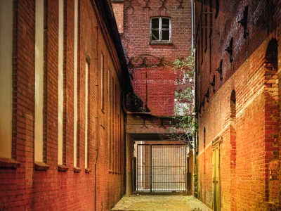 Hinterhof_14