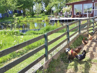 Hinterhof_5