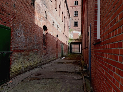 Hinterhof_6