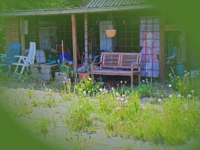 Hinterhof_7
