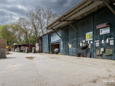 Hinterhof