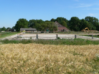 Hinterhof_9