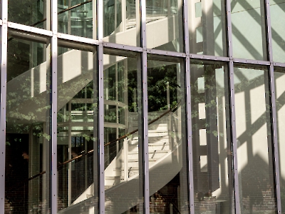 Linien_13
