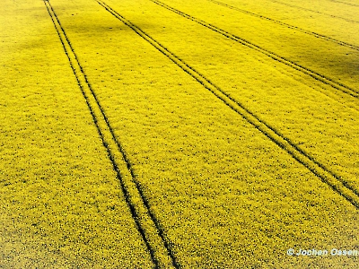 Linien_14
