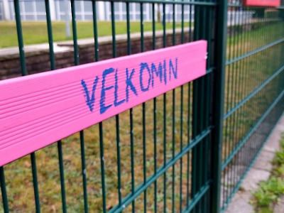 Linien_15