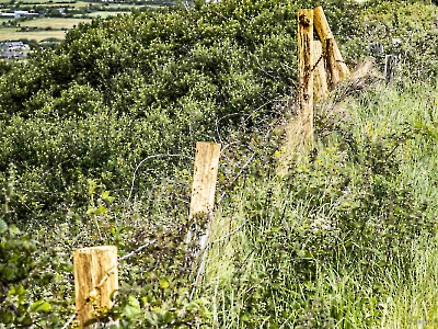 Linien_2