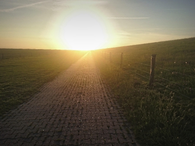 Linien_4