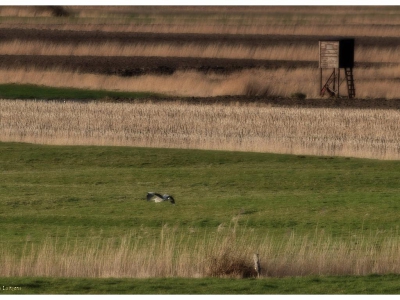 Landschaften_11