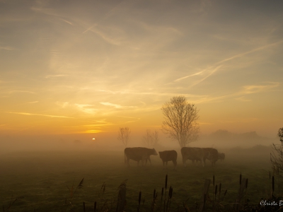 Landschaften_1