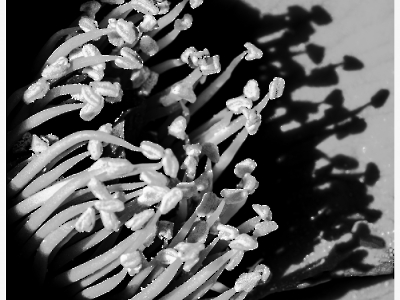 Licht und Schatten_20
